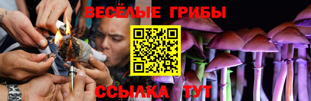 Галлюциногенные грибы мицелий  Вход с VPN  Волхов 